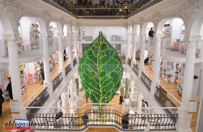 TROPHIC @Cărturești Carusel: o instalație artistică vorbește despre echilibrul naturii